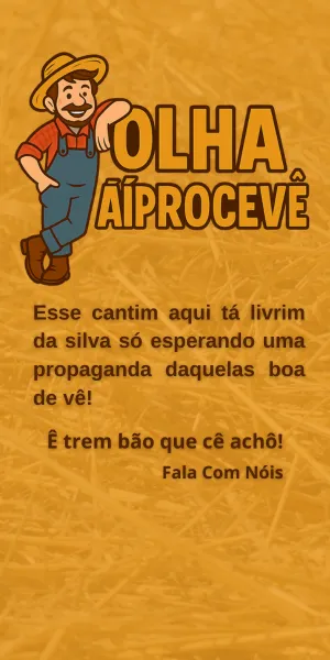 Arranha ceu